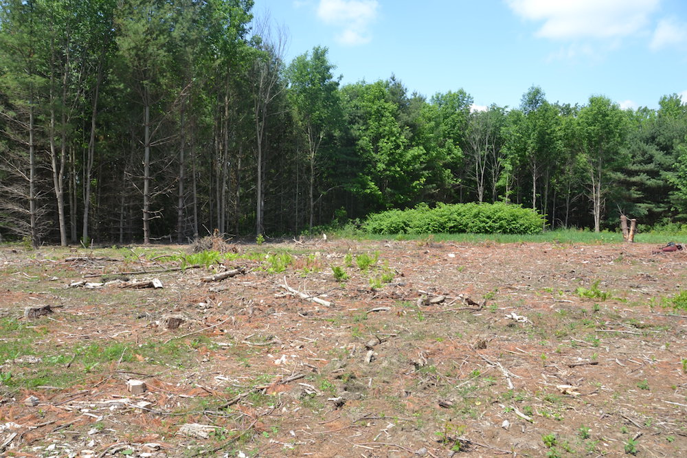 Custom Home Renovations and septic system replacements kemptville