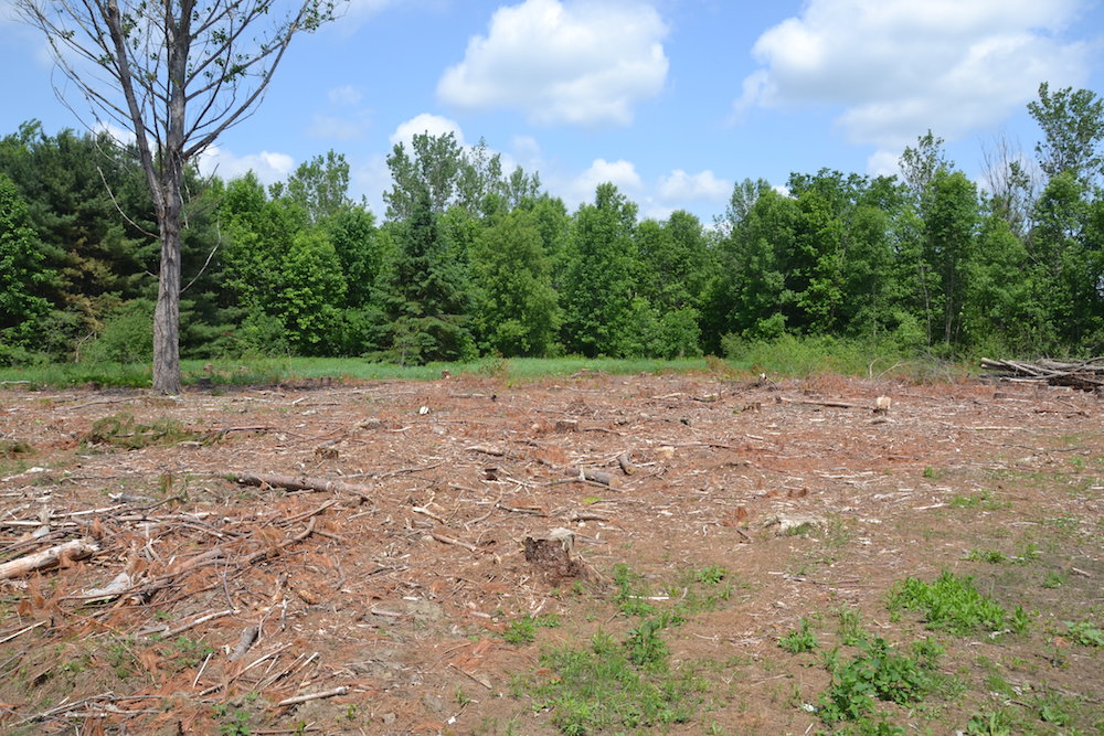 Custom Home Renovations and septic system replacements kemptville