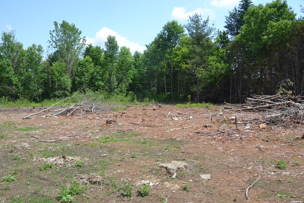 Custom Home Renovations and septic system replacements kemptville